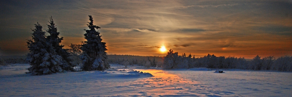 Sonnenuntergang über dem Hochmoor