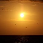 Sonnenuntergang über dem Indischen Ozean