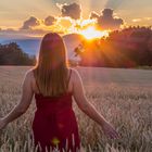 Sonnenuntergang über dem Kornfeld