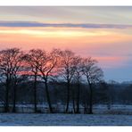 Sonnenuntergang über dem Moor ....