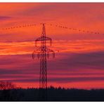 Sonnenuntergang über dem Moor ....