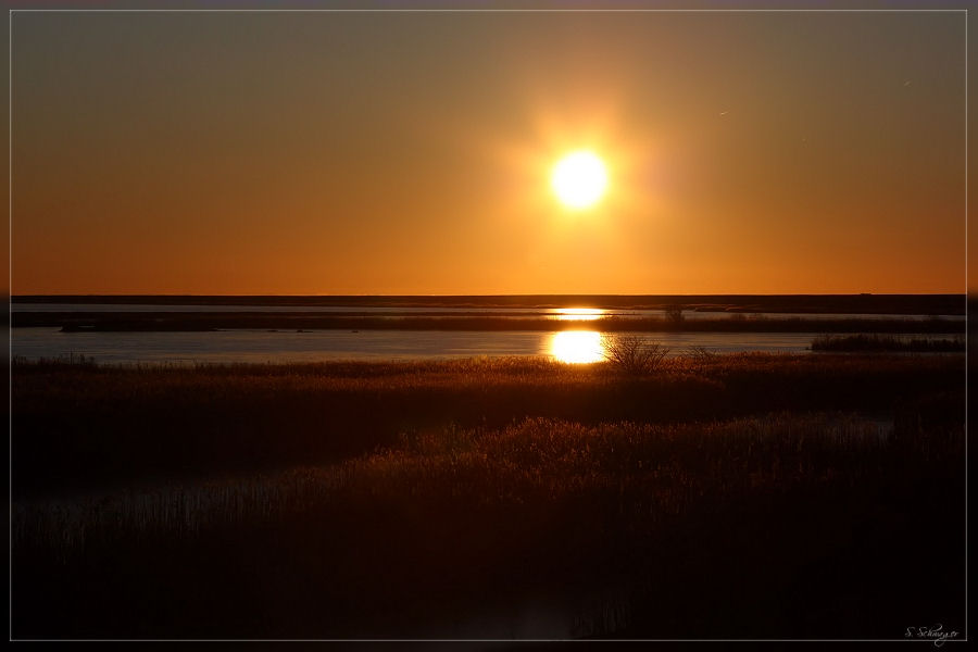 Sonnenuntergang über dem Naturschutzgebiet Beltringharder Koog