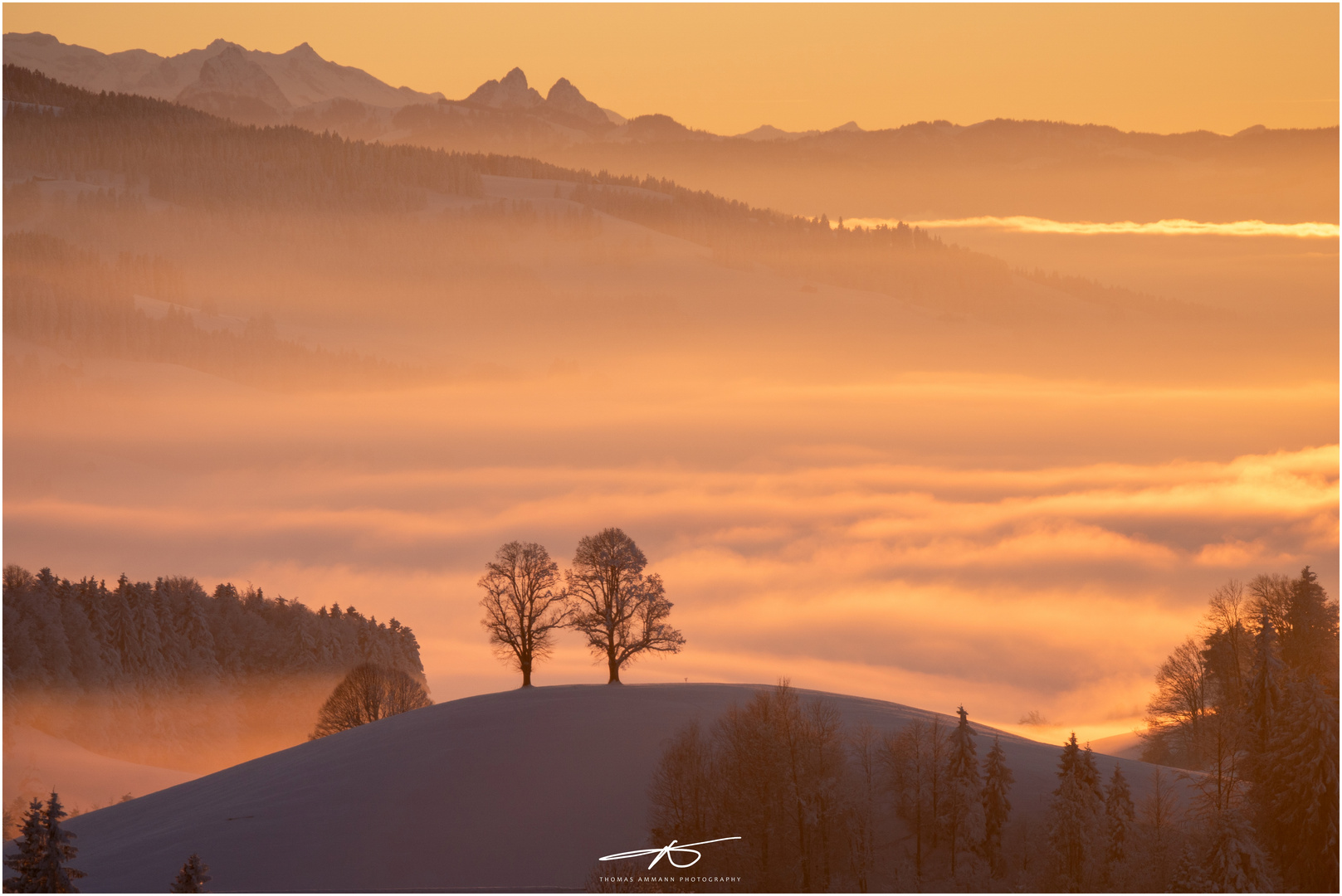 Sonnenuntergang über dem Nebel