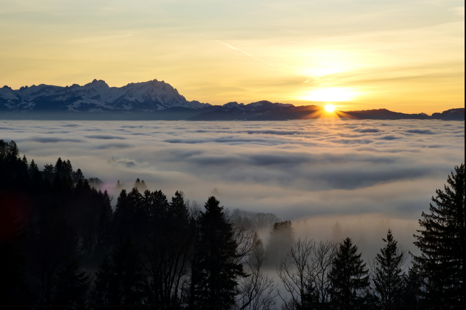 Sonnenuntergang über dem Nebel bedeckten Bodensee