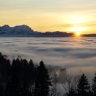 Sonnenuntergang über dem Nebel bedeckten Bodensee