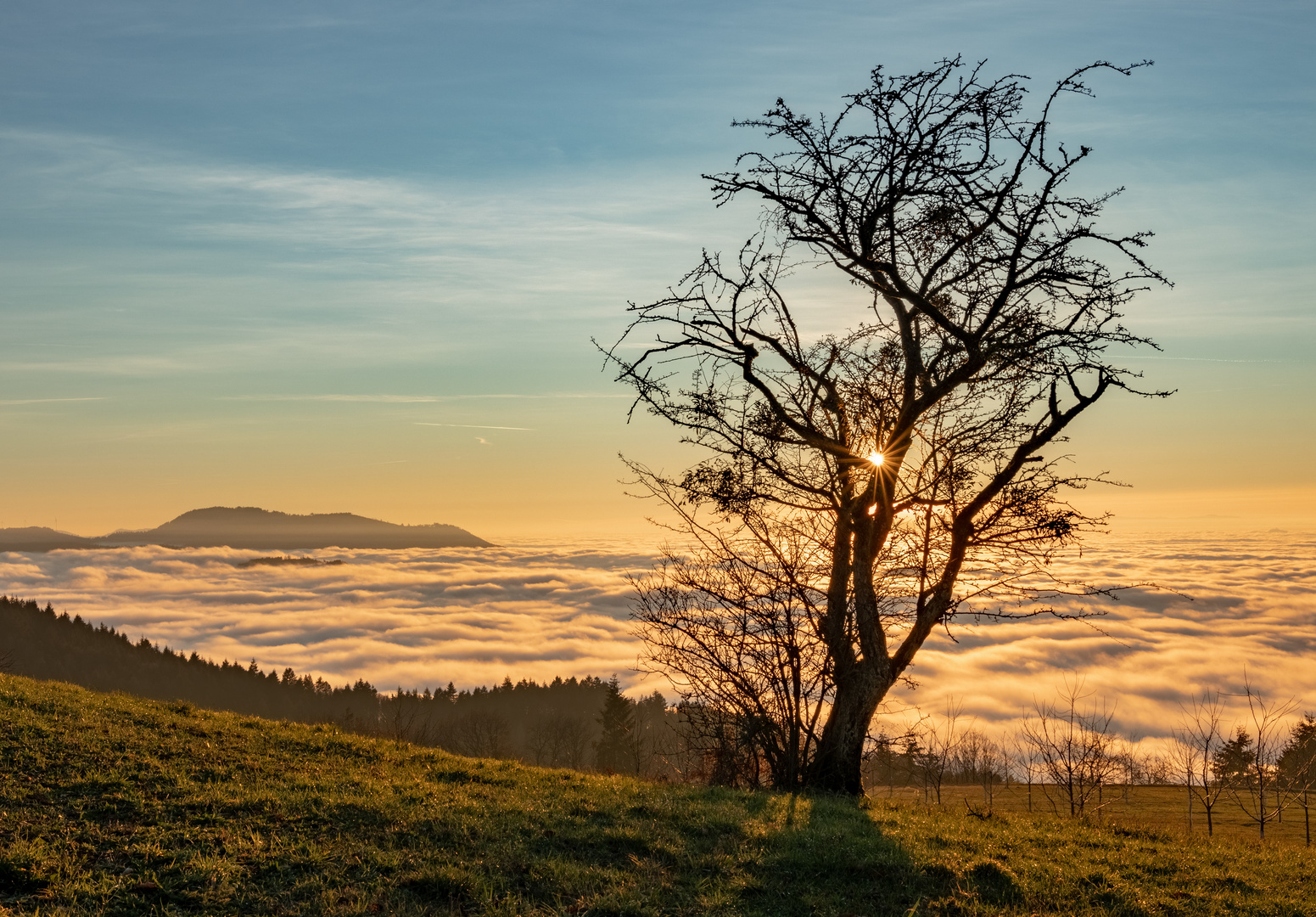 Sonnenuntergang über dem Nebelmeer