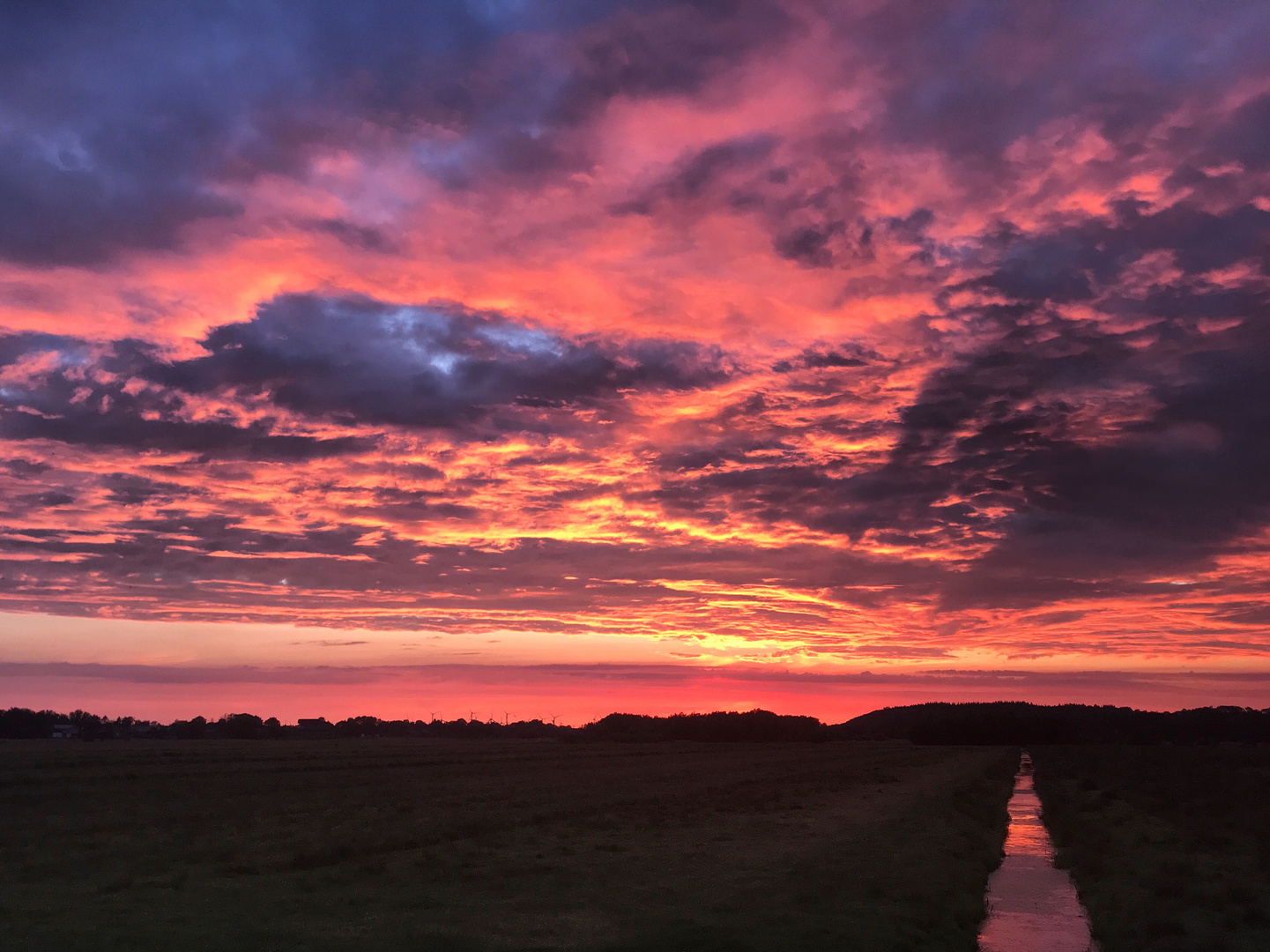 Sonnenuntergang über dem Niedermoor 