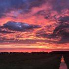 Sonnenuntergang über dem Niedermoor 