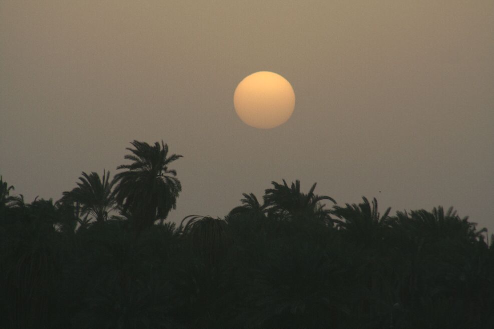 Sonnenuntergang über dem Nil