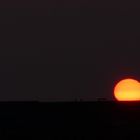 Sonnenuntergang über dem Nordseedeich..