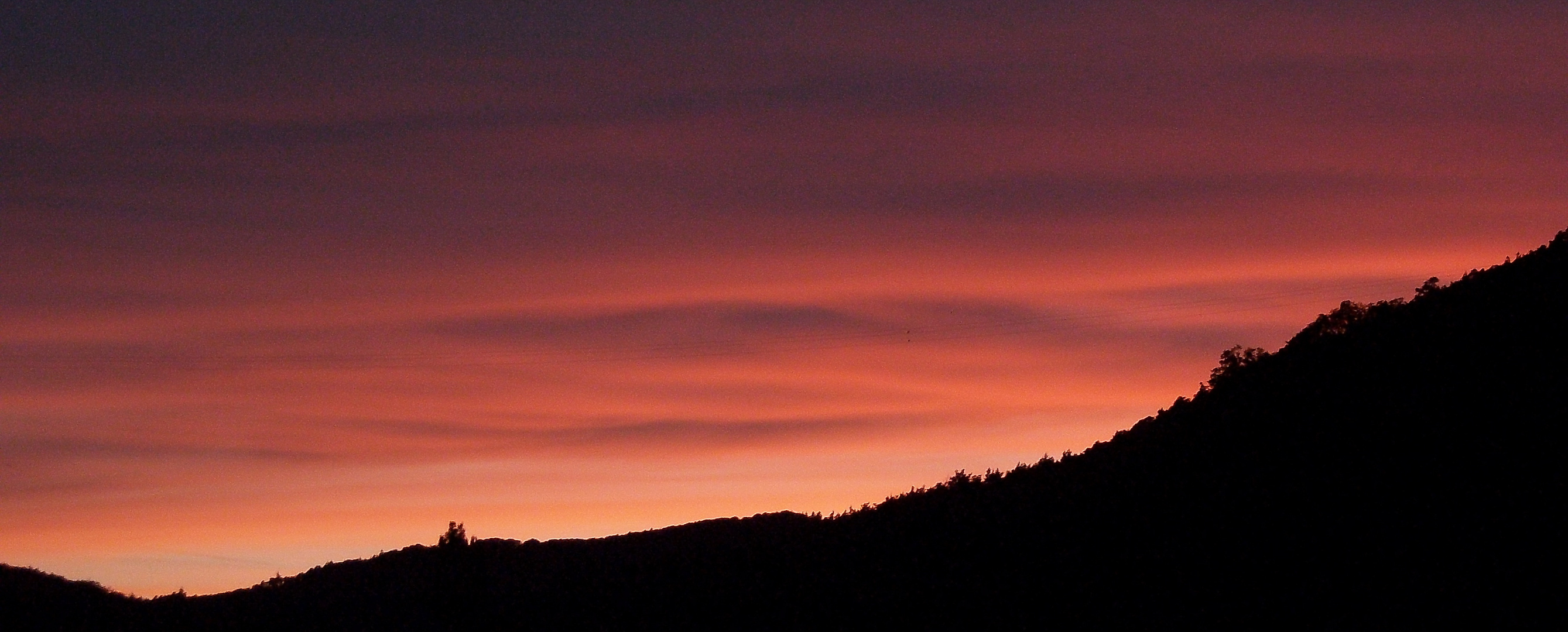 Sonnenuntergang über dem Pfälzer Wald