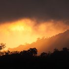 Sonnenuntergang über dem Regenwald