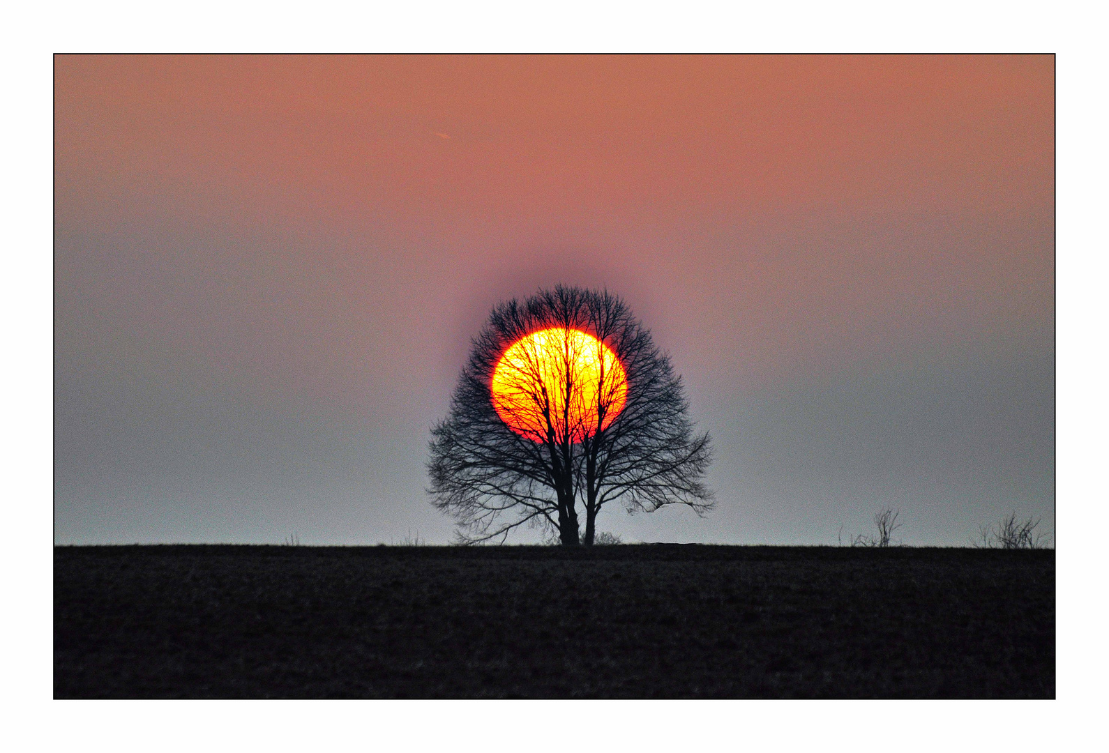 Sonnenuntergang über dem Rheingau