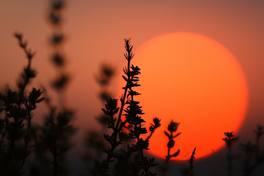 Sonnenuntergang über dem Ruhrtal