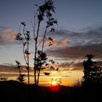 Sonnenuntergang über dem Schwarzwald