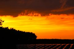 Sonnenuntergang über dem Spargelfeld