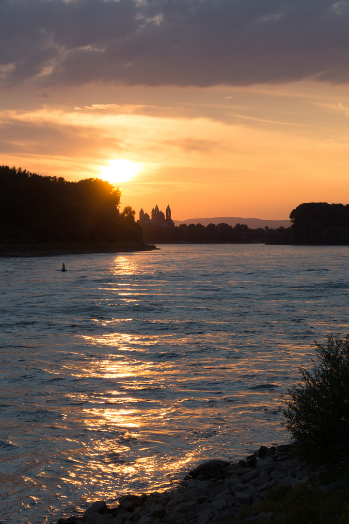 Sonnenuntergang über dem Speyerer Dom