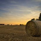 Sonnenuntergang über dem Stoppelfeld