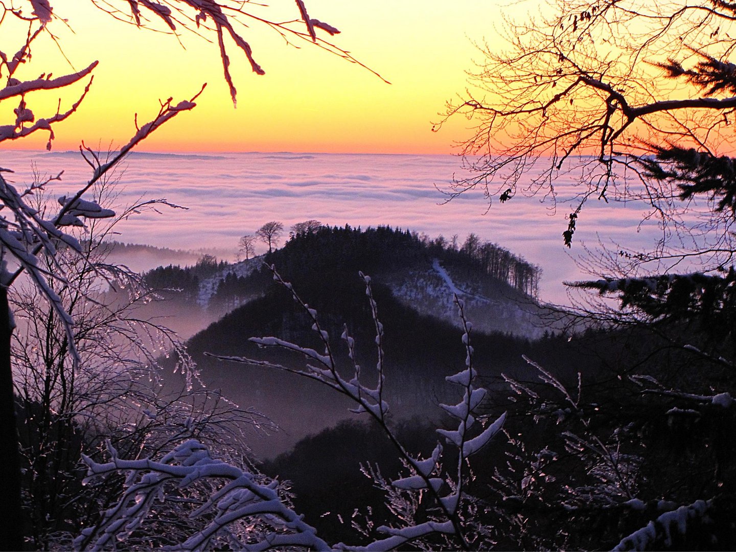 Sonnenuntergang über dem Talnebel