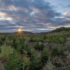 Sonnenuntergang über dem Wald