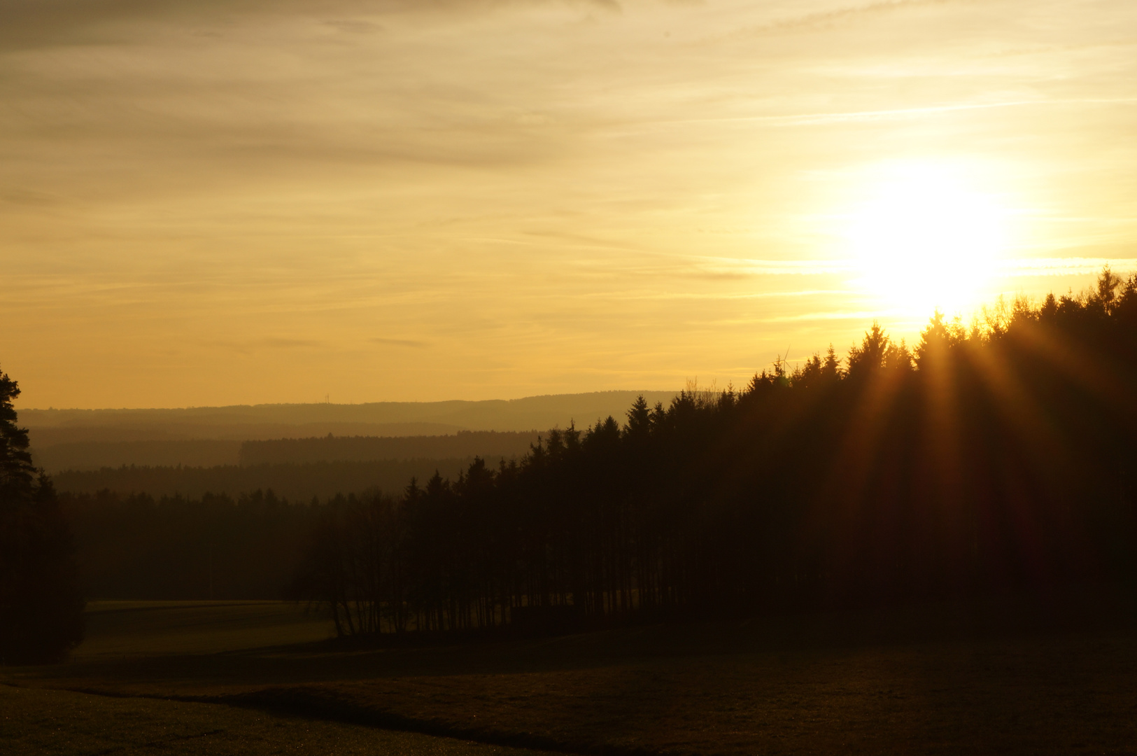 Sonnenuntergang über dem Wald