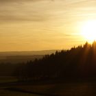 Sonnenuntergang über dem Wald