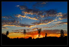 Sonnenuntergang über dem Waldrand II