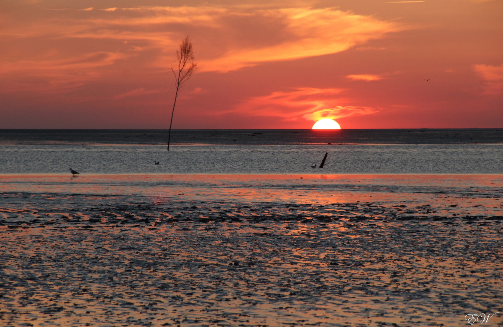 Sonnenuntergang über dem Watt...