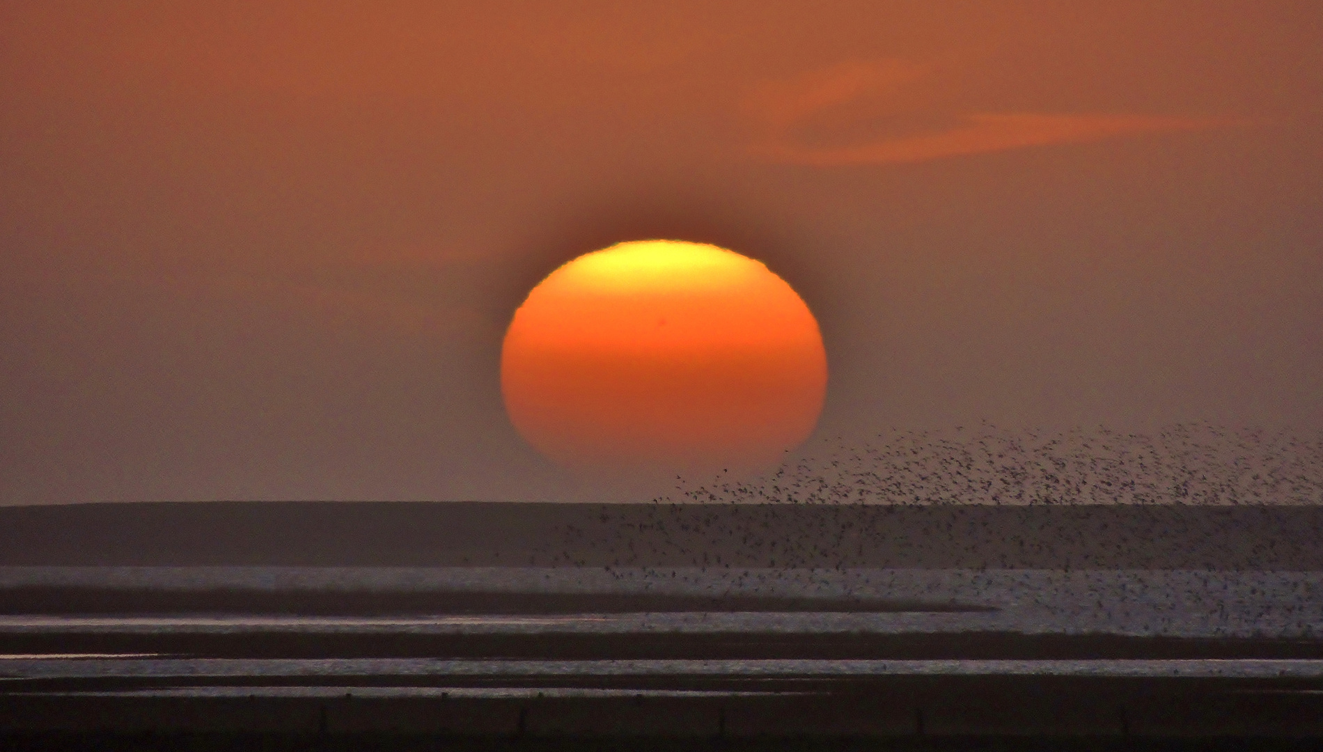 Sonnenuntergang über dem Wattenmeer 