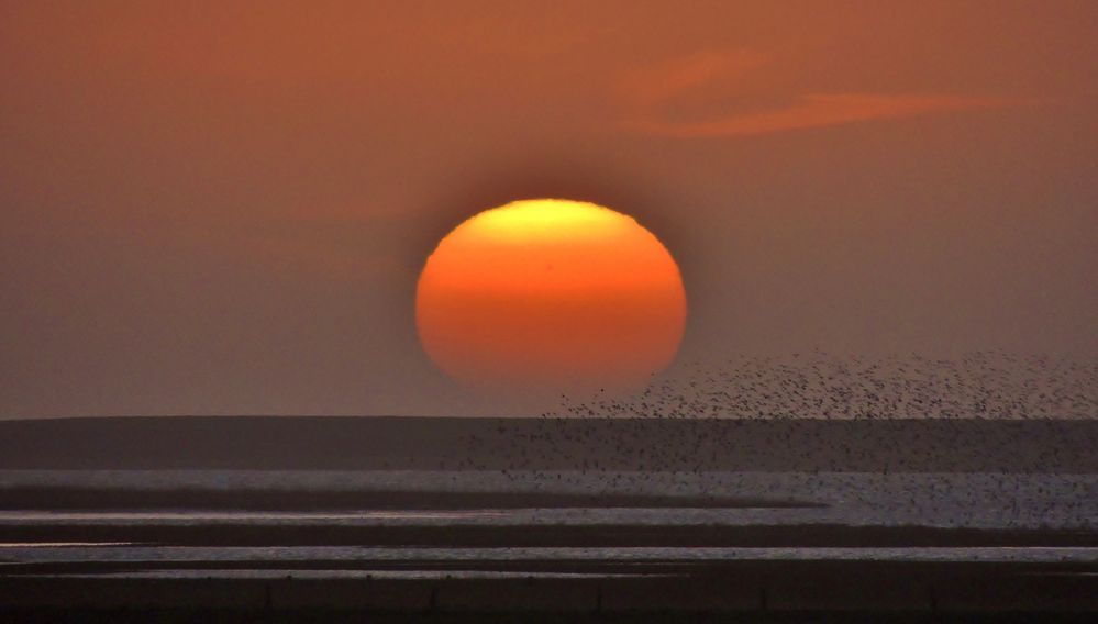 Sonnenuntergang über dem Wattenmeer 