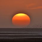 Sonnenuntergang über dem Wattenmeer 