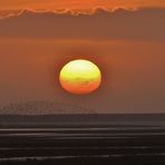 Sonnenuntergang über dem Wattenmeer