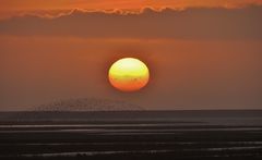 Sonnenuntergang über dem Wattenmeer