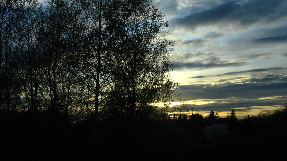 Sonnenuntergang über dem (Weiher-) Feld