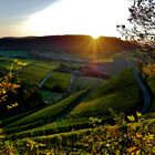 Sonnenuntergang über dem Weinberg