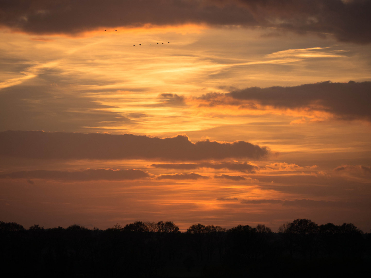 Sonnenuntergang über dem Wendland