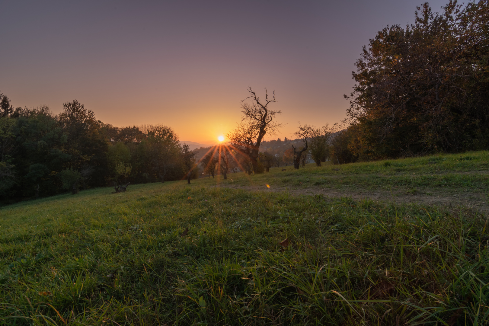 Sonnenuntergang über dem Wiener Wald