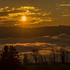 Sonnenuntergang über dem Zürichsee