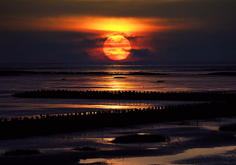 Sonnenuntergang -  über den Buhnen