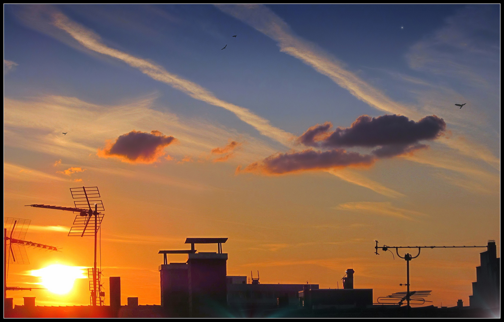 Sonnenuntergang über den Dächern von Karlsruhe - Oststadt (2013)