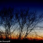 Sonnenuntergang über den Dächern von Moers