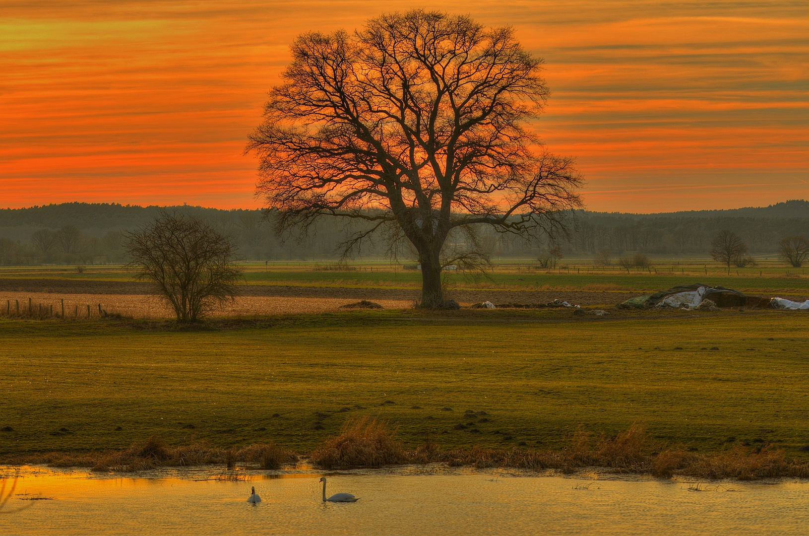 Sonnenuntergang über den Elbtalauen