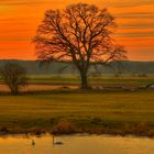 Sonnenuntergang über den Elbtalauen