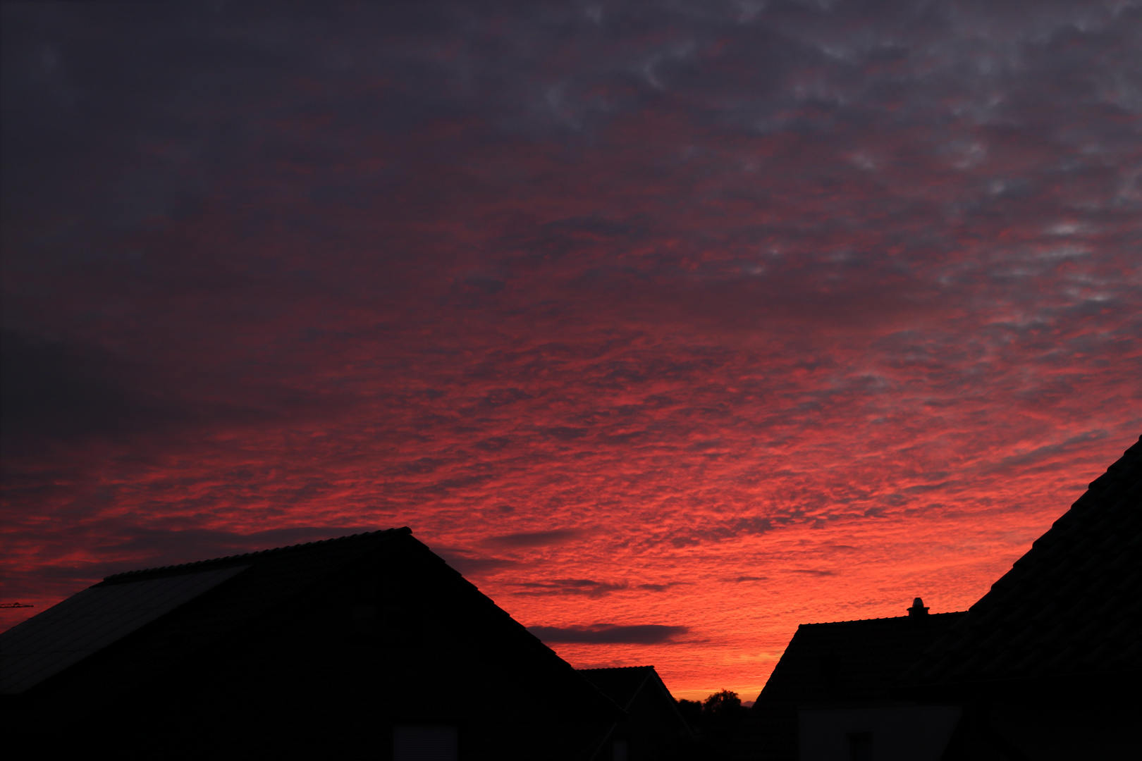 Sonnenuntergang über den Häusern