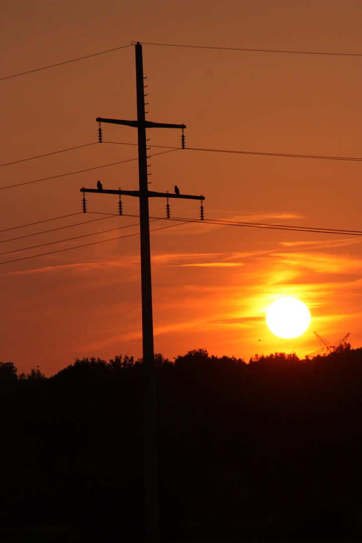 Sonnenuntergang über den Ruhrwiesen