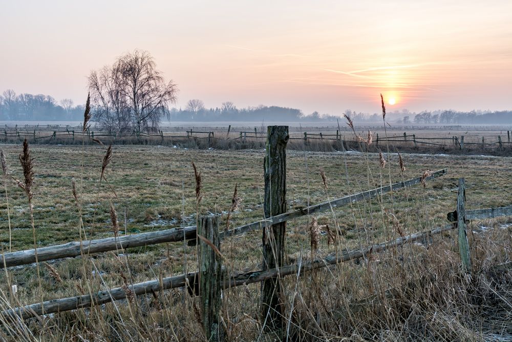 Sonnenuntergang über den Salzwiesen