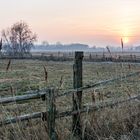 Sonnenuntergang über den Salzwiesen