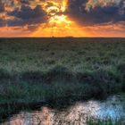 Sonnenuntergang über den Salzwiesen von St. Peter Ording