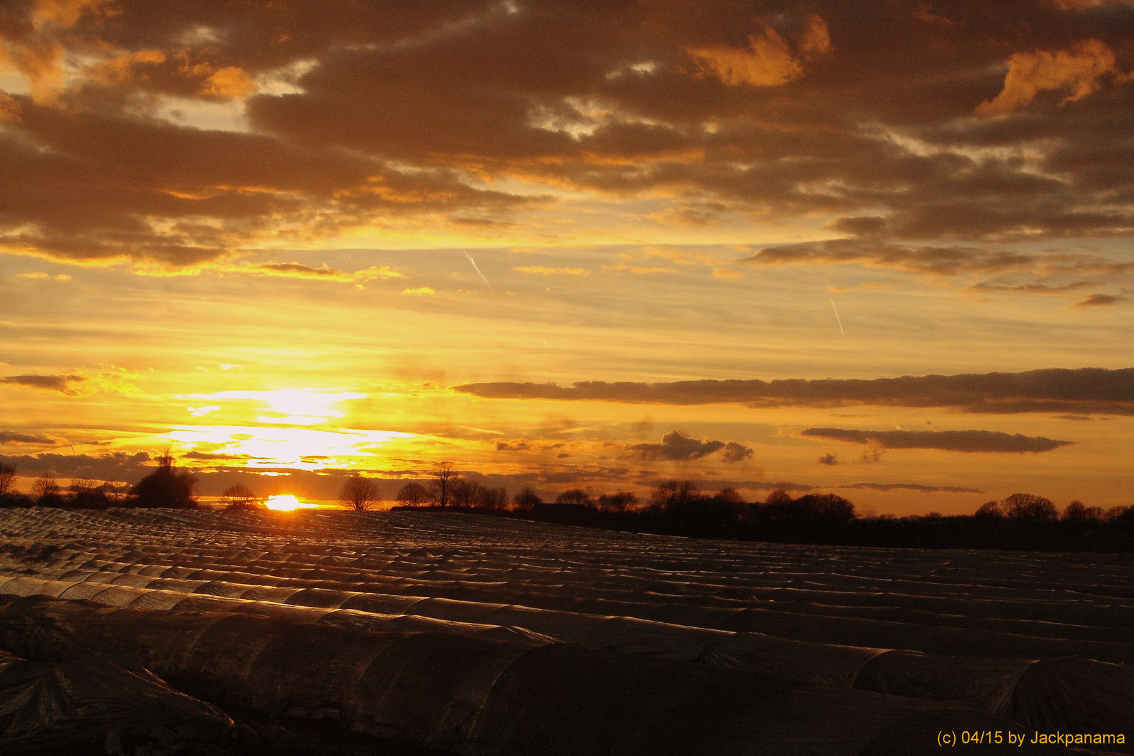 Sonnenuntergang über den Spargelfeldern von Kirchhellen