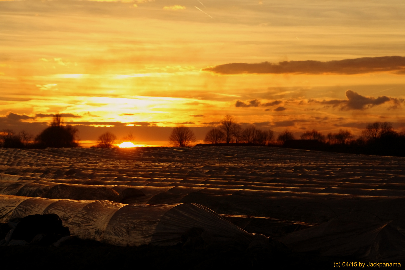 Sonnenuntergang über den Spargelfeldern von Kirchhellen